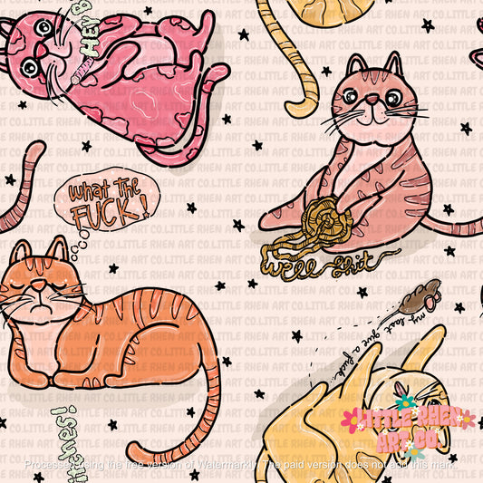 Vulgar x Clean Cats