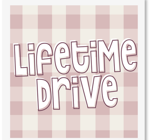 Lifetime DRIVE